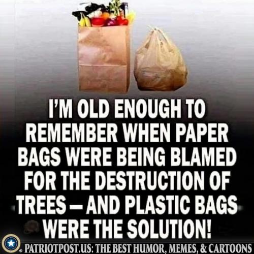 Paper Bags