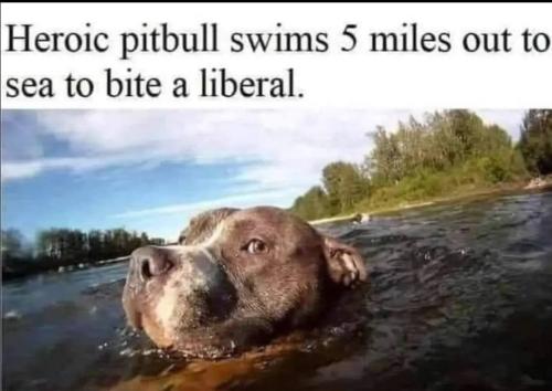 IMG_20240411_221300_476