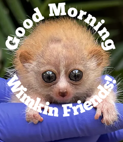 Polish_20240410_083531441