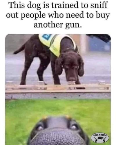 20240408_192653