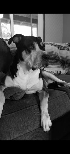 Screenshot_20240411_182022_Photos