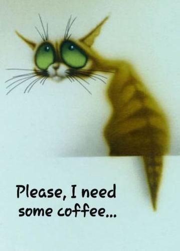 436446489_7812323142152928_7515228286005399581_n