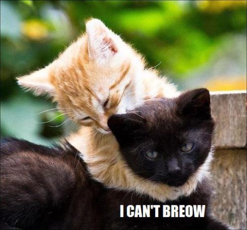 IMG_20240404_074043_032