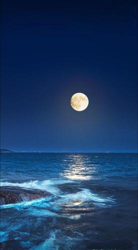 img-d324439c