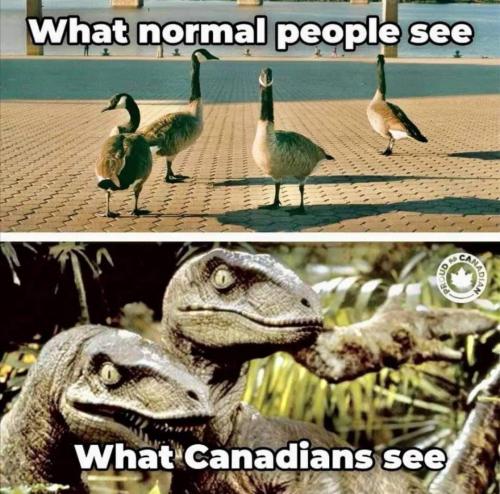 what Canadians see