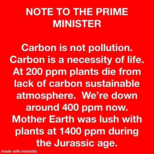 carbon is not pollution