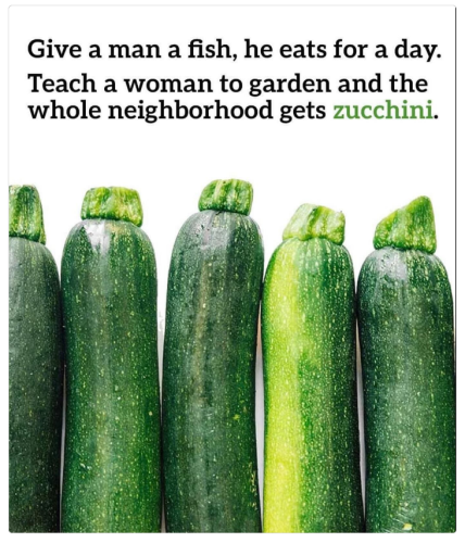 zuccini