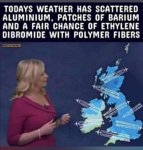 IMG_20240422_023228_710