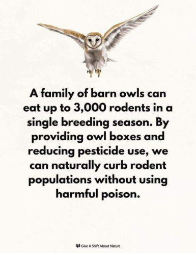 Screenshot_2024-04-08-14-40-40_kindlephoto-1747535