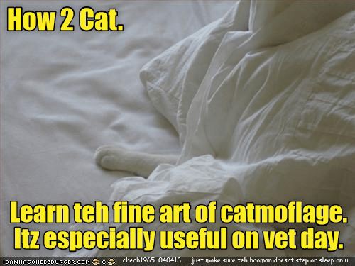 68822a7651d88dbf3b50f71e5e5869b5