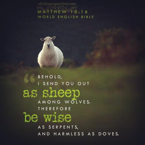 FAITH - Matthew 10.16 KJV