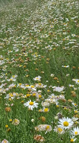 19:40:09 GMT-0500 (CDT)