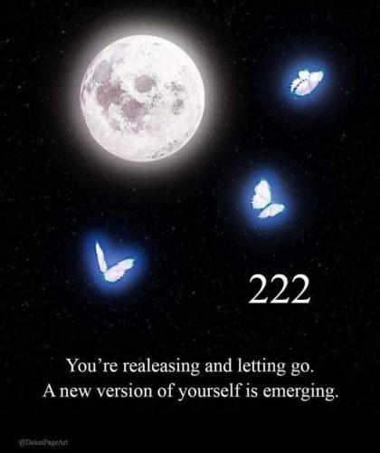 437744532_413134281673744_3928171379653373938_n