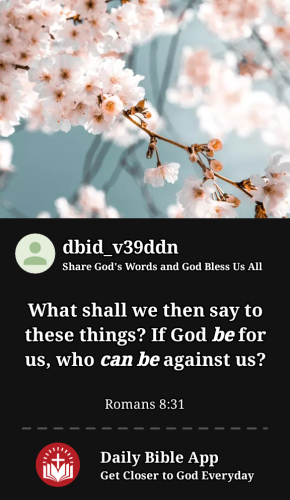 2024-04-071712533964157