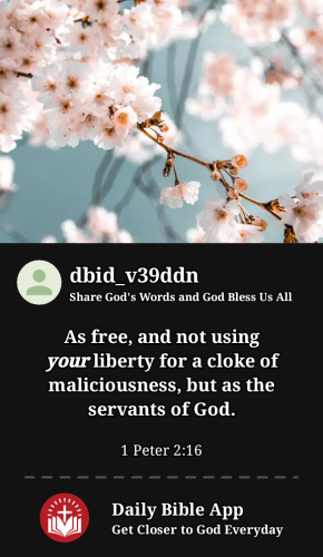 2024-04-241714013618412