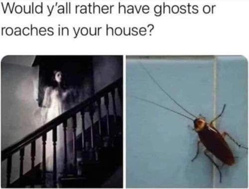 FB_IMG_1713981374073