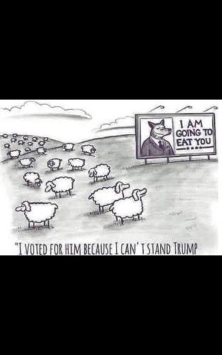 Screenshot_20240401_173045_X