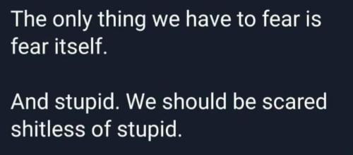 FB_IMG_1711981702653