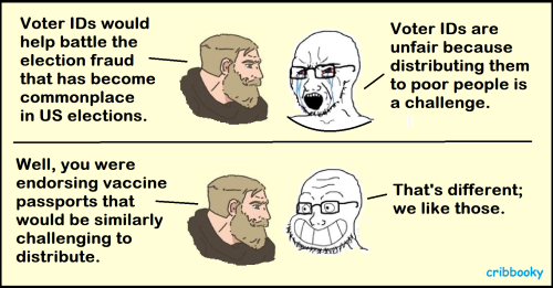 voter_id_vs_vaccine_passports