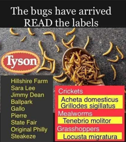 Screenshot_2024-04-22-20-32-32_kindlephoto-284021173