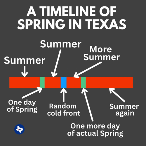 Screenshot 2024-04-12 113954