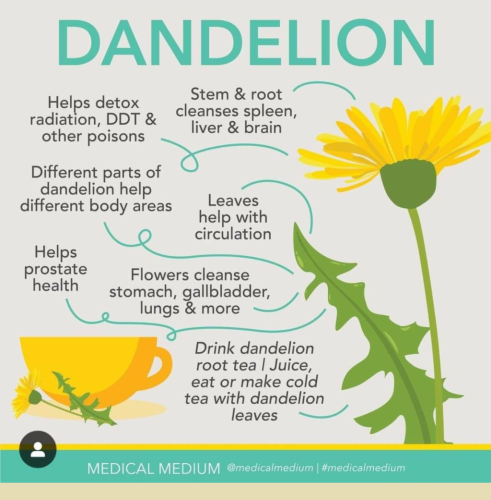 Screenshot_2024-04-27-21-57-22_kindlephoto-42821053