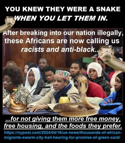YOU KNEW THEY WERE A SNAKE