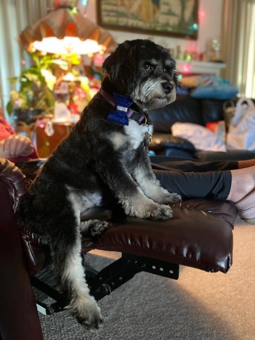 0C1F993B-3B37-4C57-9374-153369E8B88D