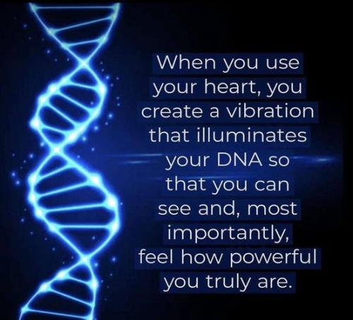 ,          ,  0424775766_746362