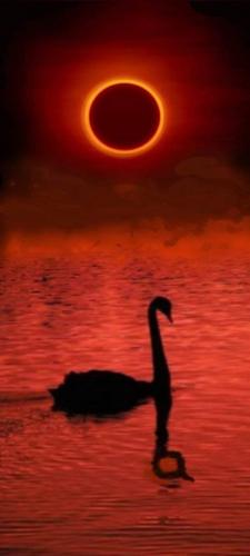 FB_IMG_1712502223425