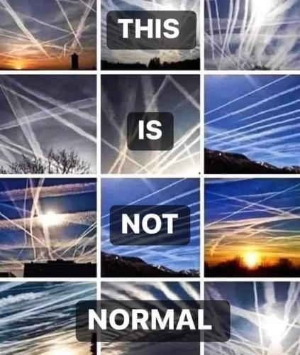 FB_IMG_1710803315271