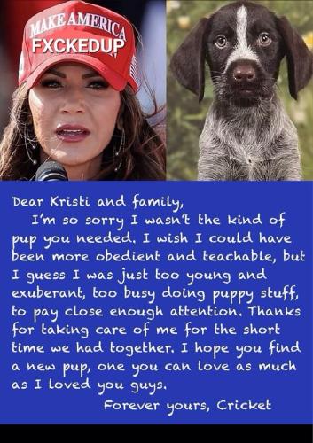 Tumblr_l_80626446120231