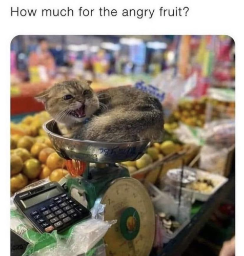 image_8F9F4B0F-E42D-4C48-83AC-2DE347648313