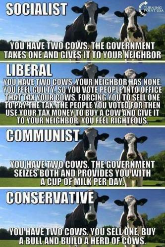 FB_IMG_1604618568292