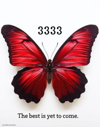 441927239_428492440137928_5528112797289534166_n