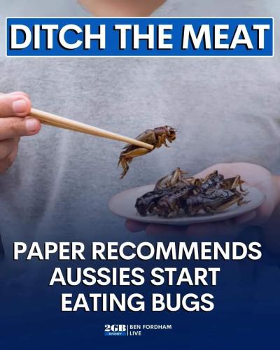 ditch the eat