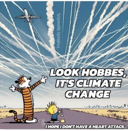 Screenshot_20240502_032305_Facebook