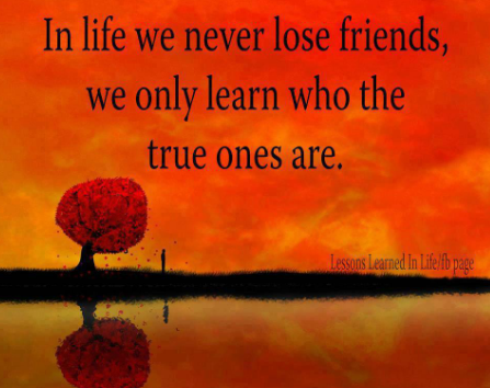 Screenshot_2024-04-06-12-46-13_kindlephoto-185404138