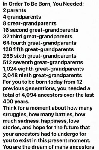 440571224_7989204267779416_5705948141696539848_n