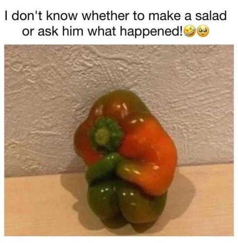 442468014_866688355498389_7295805860947428757_n