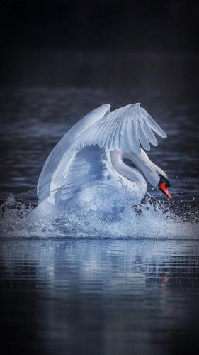 img-f0ee5167