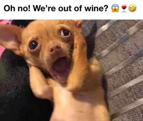 446975427_887944750016046_5226823694109532859_n