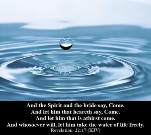 1f50ac57-1438-407d-8da3-83e393c22e5b