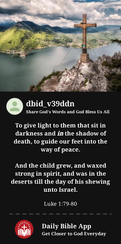 2024-05-161715872519710