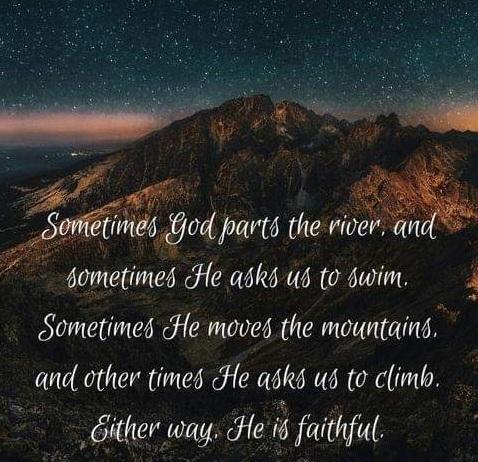 b8ab9c96-2763-48d5-8368-49862a21c176