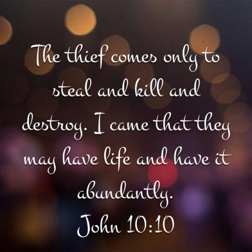 JOHN 10  10