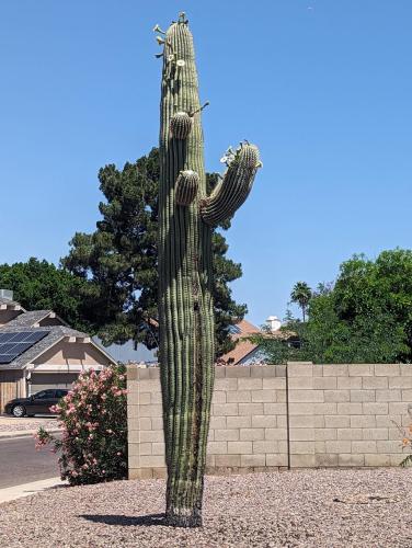 PXL_20240523_174534311