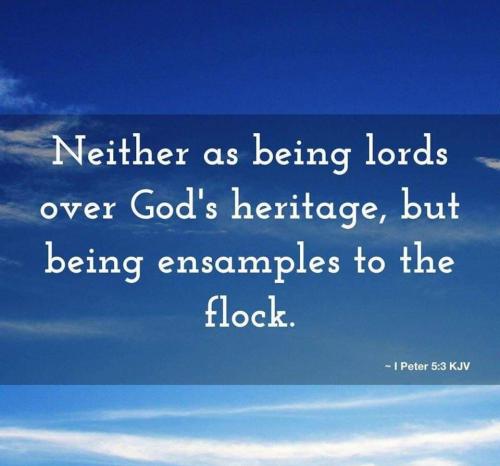 2992a78c-0f0f-44e6-acf4-96af4df448a7