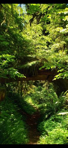 Screenshot_20240527_193145_Photos