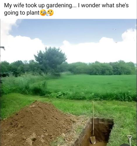 image_A953825B-7C2C-41CC-8E5F-8B35C0C051F4